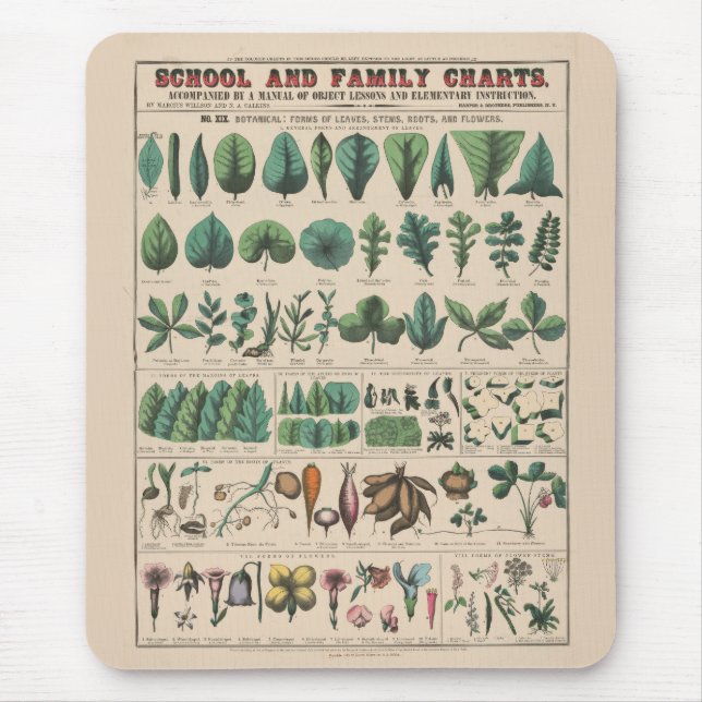 Antik botanisk skolplanschart vintage natur musmatta (Framsidan)