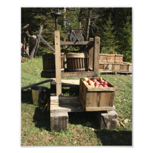 Antik Ciderpress Fototryck