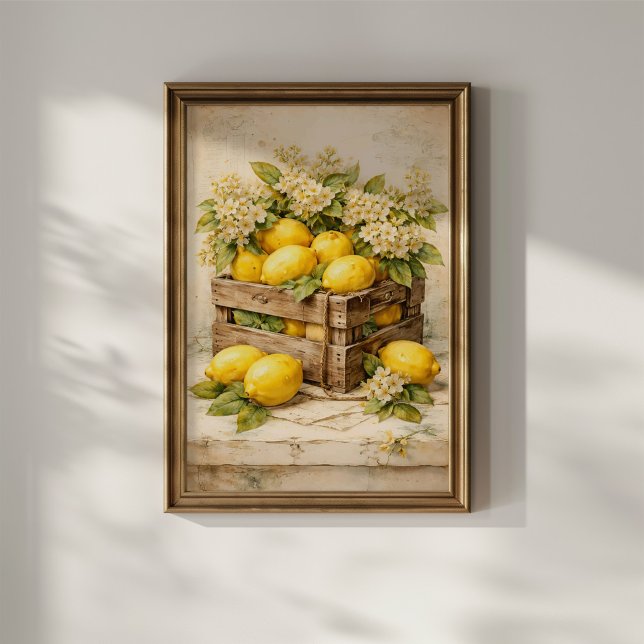 Antik Citronkista Poster (Skapare uppladdad)