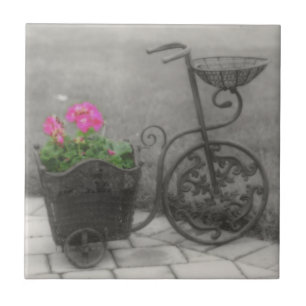 Antik cykel och blommor i svartvitt kakelplatta