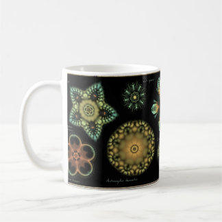 "Antik" Diatomkaffemugg Kaffemugg