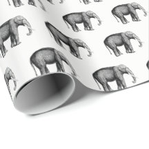 Antik Elefant Ritning