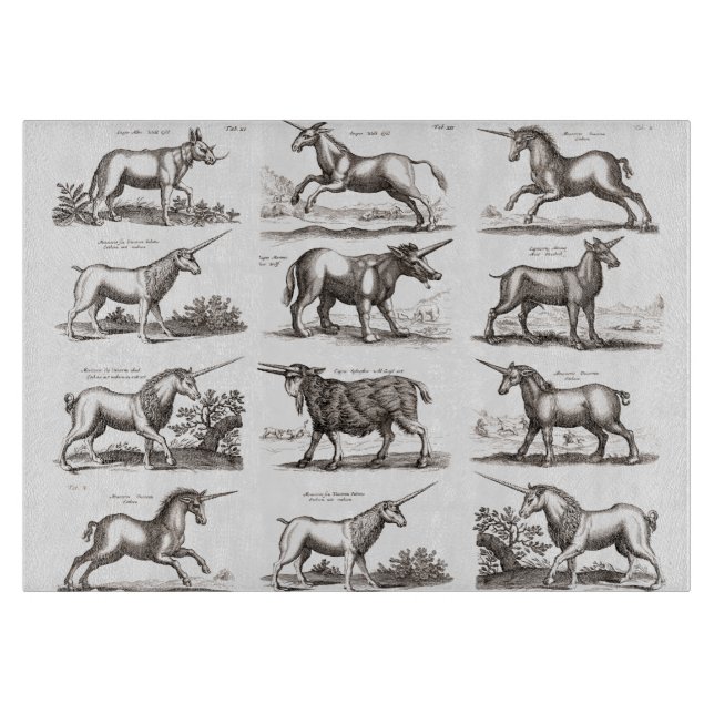 Antik Enhörning Gravyr Vintage Zoologi Exemplar (Framsidan)