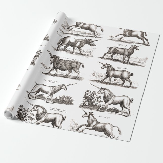 Antik Enhörning Gravyr Vintage Zoologi Exemplar Presentpapper (Utrullad)