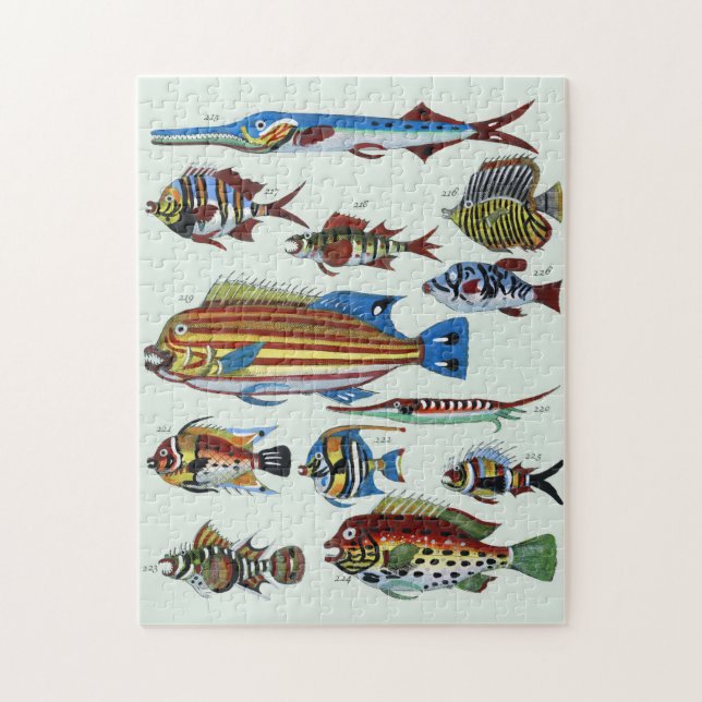 Antik Färgrik Exotisk Fisk Naturhistorisk Trycknin Pussel (Vertikal)