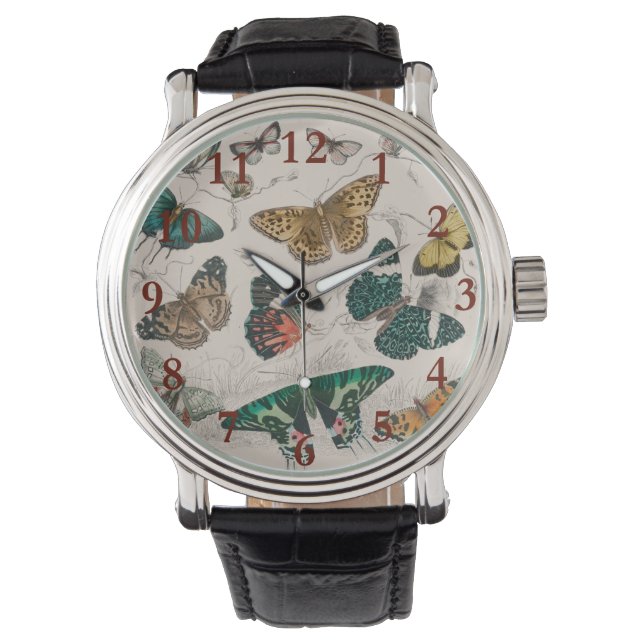 Antik fjärilillustration: 1820 Goldsmith Armbandsur (Framsida)