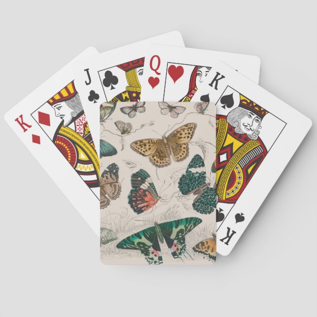 Antik fjärilillustration: 1820 Goldsmith Casinokort (Baksidan)