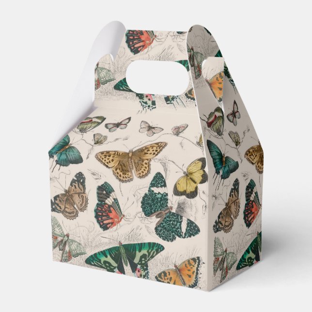 Antik fjärilillustration: 1820 Goldsmith Presentaskar (Framsidan Sidan)