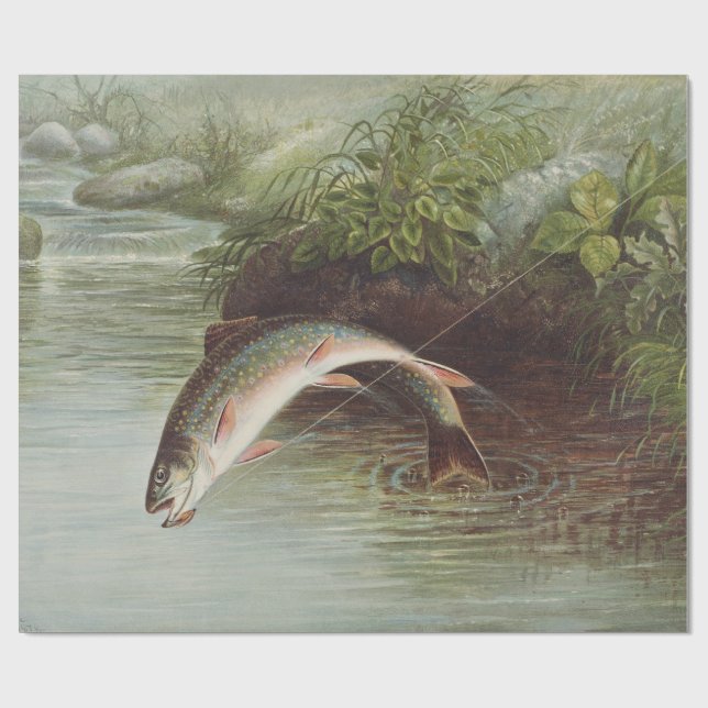 Antik flugfiske Hoppande bäcköring tryck Presentpapper (Platt)