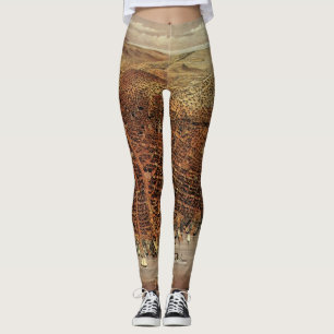 Antik flygkarta, San Francisco City, Kalifornien Leggings