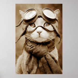Antik Goggle Katt Schal Retrotryck Poster