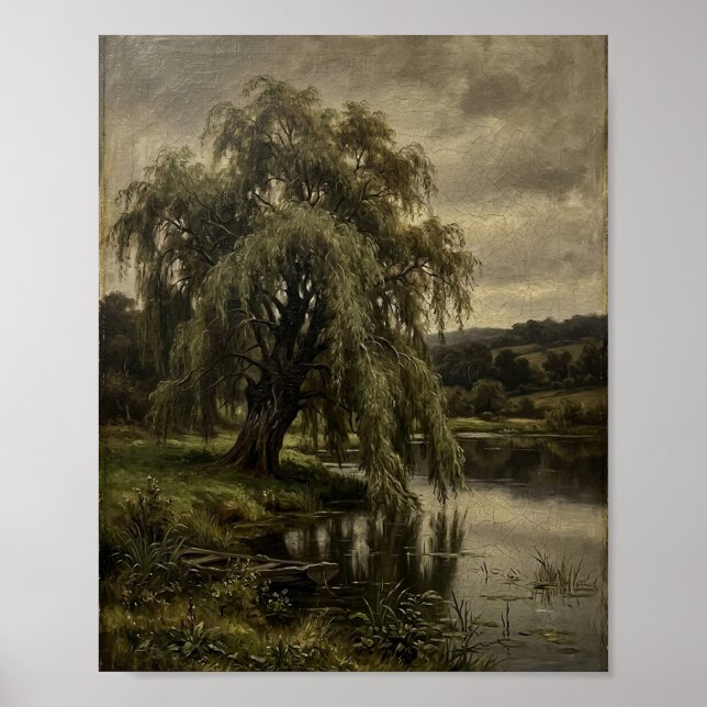 Antik gråtande pilträd botanisk I Poster (Framsidan)
