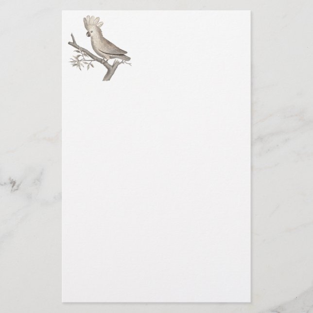 Antik gravyr av en kakadua Histoire Naturelle Brevpapper (Framsida)