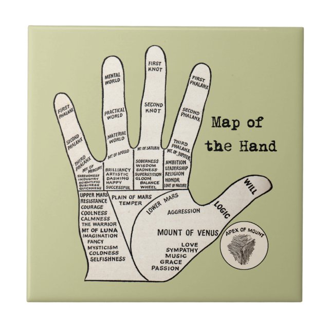 Antik handdiagram för palmistry: Handläsning Kakelplatta (Framsidan)