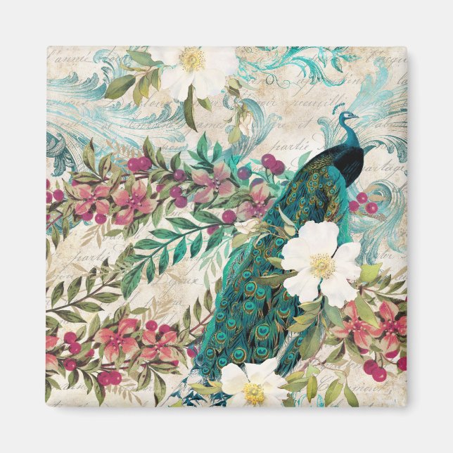 Antik illustrerad påfågel & blommor Grunge Magnet (Framsidan)