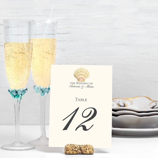 Antik Kammussla Enkel Snigelskal Bröllop Bordsnummer (Skapare uppladdad)