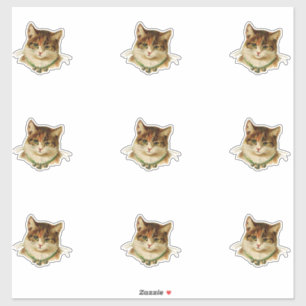 Antik katt klistermärken