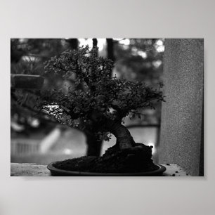 Antik Kina Guilin miniatyr bonsai kruka Poster