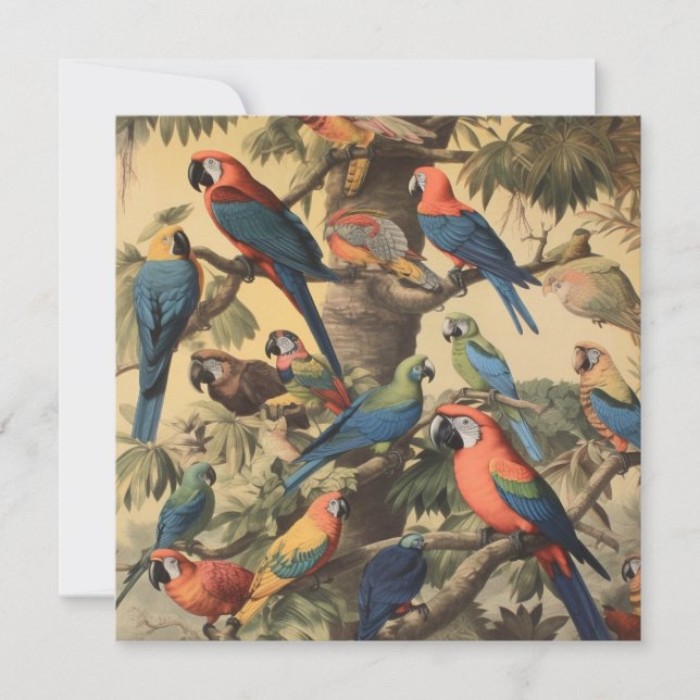 Antik konstkort för Macaw Jungle Botanical (Framsida)