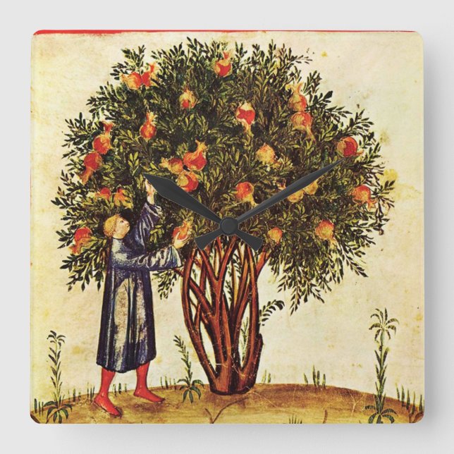 ANTIK MEDELTIDA PARCHMENT för POMEGRANATETRÄD som Fyrkantig Klocka (Framsida)