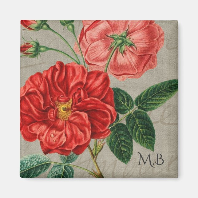 Antik röd ros konst på grått monogram magnet (Framsidan)