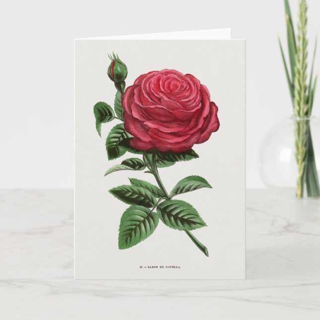 Antik roselitografi, François-Frédéric Grobon Kort (Framsida)