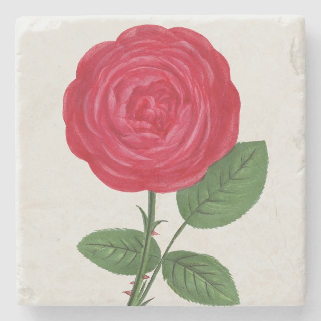 Antik roselitografi, François-Frédéric Grobon Stenunderlägg (Framsidan)