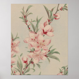 ANTIK ROSENKNOPP BOTANISK KONST POSTER