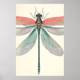 Antik Slända Konsttryck Botanisk Natur Poster
