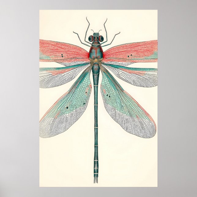 Antik Slända Konsttryck Botanisk Natur Poster (Framsidan)