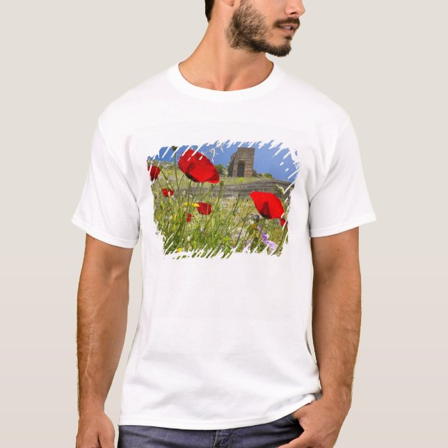 Antik teater i Akropolis Pergamon T Shirt (Framsida)