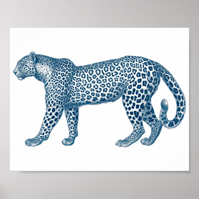 Antik teckning av en leopard poster (Framsidan)