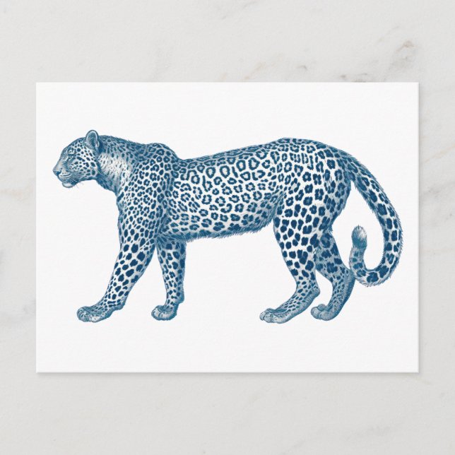 Antik teckning av en leopard vykort (Framsida)