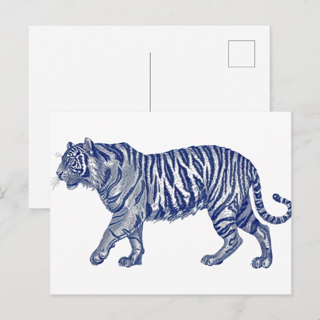Antik teckning av en Tiger Vykort (Fram/baksida)