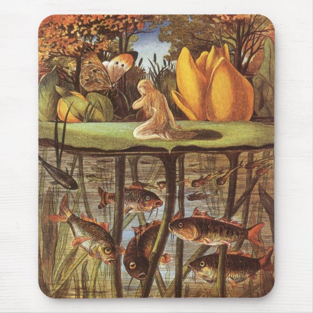 Antik Thumbelina-saga, Eleanor Vere Boyle Musmatta (Framsidan)