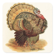 Antik Turkiet illustrationthanksgiving