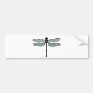 antik typografisk vintage drakflygning bildekal