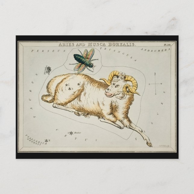 Antik Väduren Astronomisk Karta Zodiak Astronomi Vykort (Framsida)
