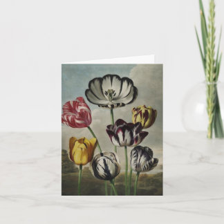 Antika botanicalstulpan på notecards kort