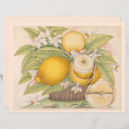 Antika citroner Citrusfrukt Ritning Scrapbook-sida