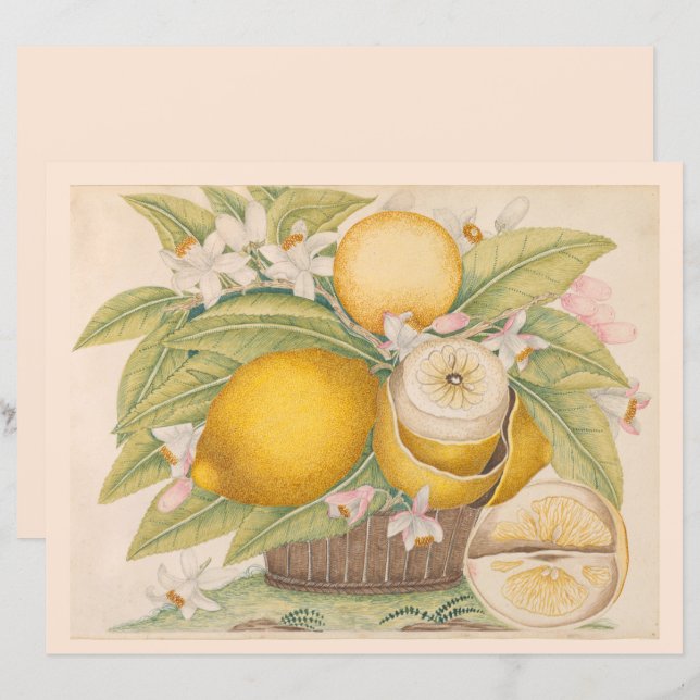 Antika citroner Citrusfrukt Ritning Scrapbook-sida (Fram/baksida)