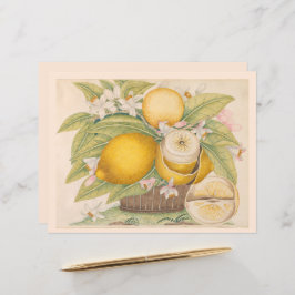 Antika citroner Citrusfrukt Ritning Scrapbook-sida