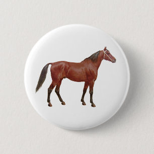 Antika hästar - Thoroughbred Knapp