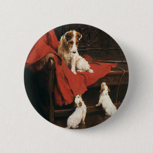 Antika husdjur, Jack Russel Terrier hundar Knapp