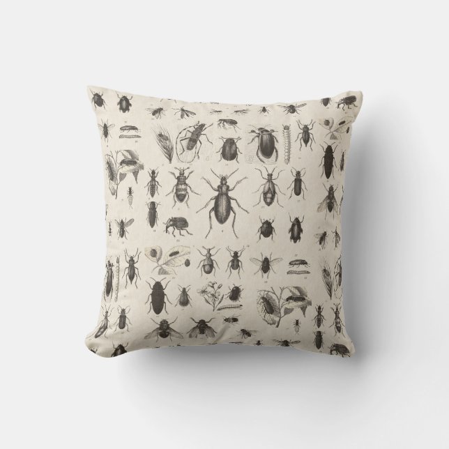 Antika insekter Entomologi Kudde (Framsida)