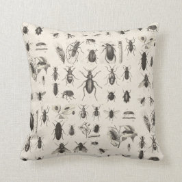 Antika insekter Entomologi Kudde