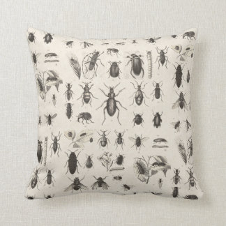 Antika insekter Entomologi Kudde