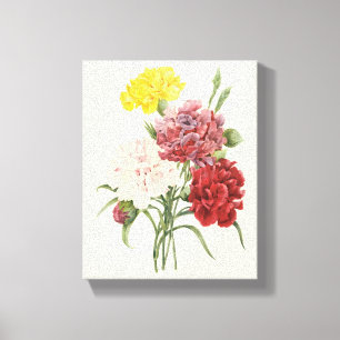 Antika Nejlikor Dianthus Trädgårdsblommor Redoute Canvastryck