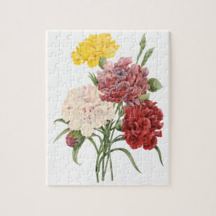 Antika Nejlikor Dianthus Trädgårdsblommor Redoute Pussel