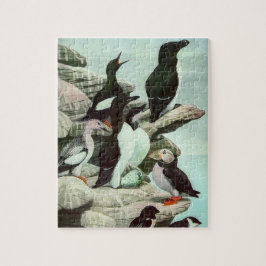 Antika Puffins och Vattenlevande Fåglar av Louis F Pussel